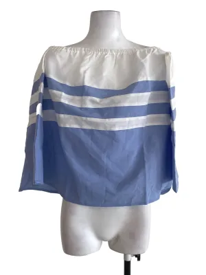 Blue Striped Blouse